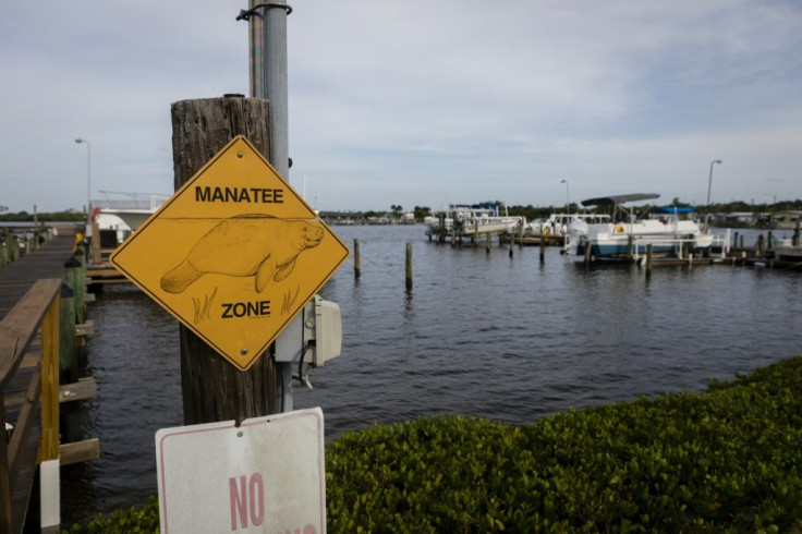 In Florida ports, "manatee zones" are designated, and boaters are asked to use caution when navigating the shallow waters