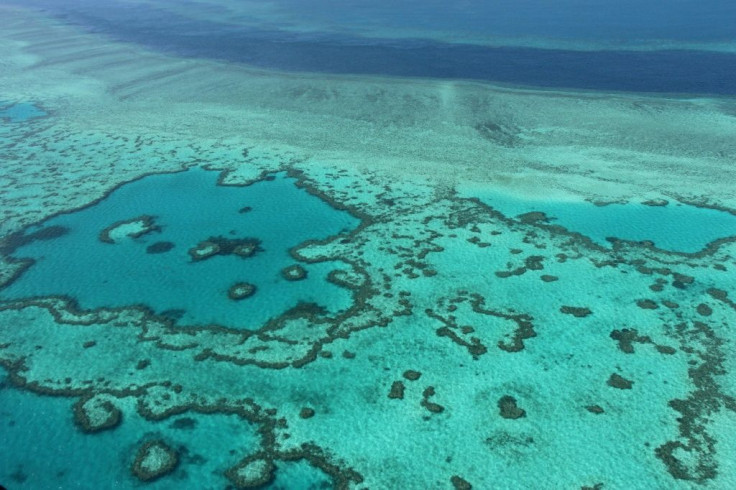 Australia's Great Barrier Reef faces "precipitous decline", scientists say