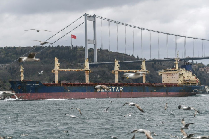 Critics accuse Turkey's president of pursuing a vanity project by pushing for the construction of a new canal