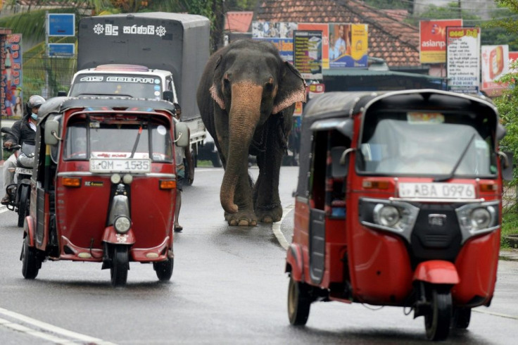 Sri Lanka announced that its economy shrank 3.6 percent due to the Covid-19 pandemic last year