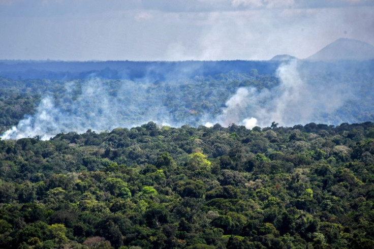 The Amazon basin contains about half of the world's tropical rainforests