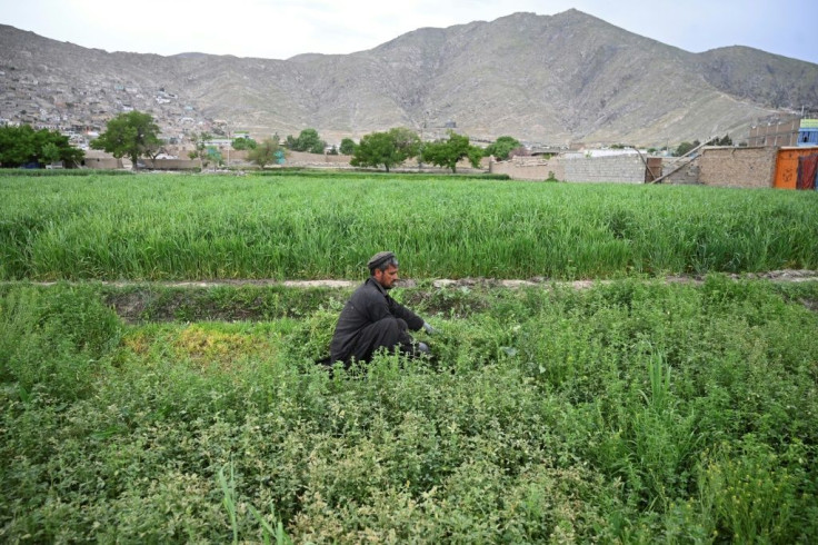 The exit of US forces has only exacerbated the fear felt by ordinary Afghans