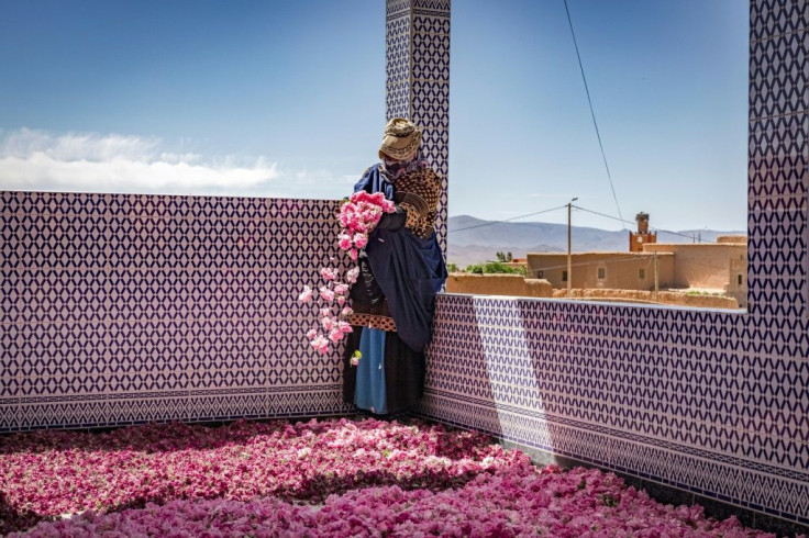 A worker spreads rose petals outside a house in the city of Kelaat Mgouna; a kilo of essential oils requires between four to five tons of flowers