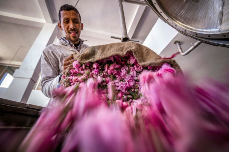 Moroccan rose exports are currently restricted mostly to rose water and dried flowers