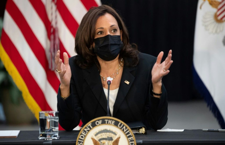 Vice President Kamala Harris has been tasked by Joe Biden with tackling the immigration crisis on the US southern border with Mexico