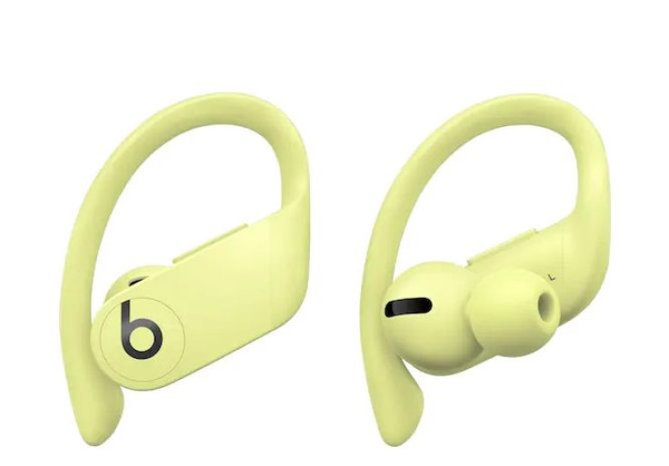 Apple Powerbeats Pro Totally Wireless Earphones