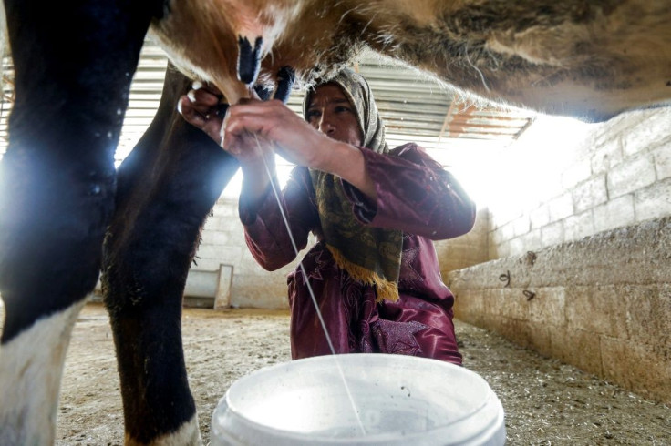 With grazing lands restricted, farmers are struggling to afford the fodder to feed their animals
