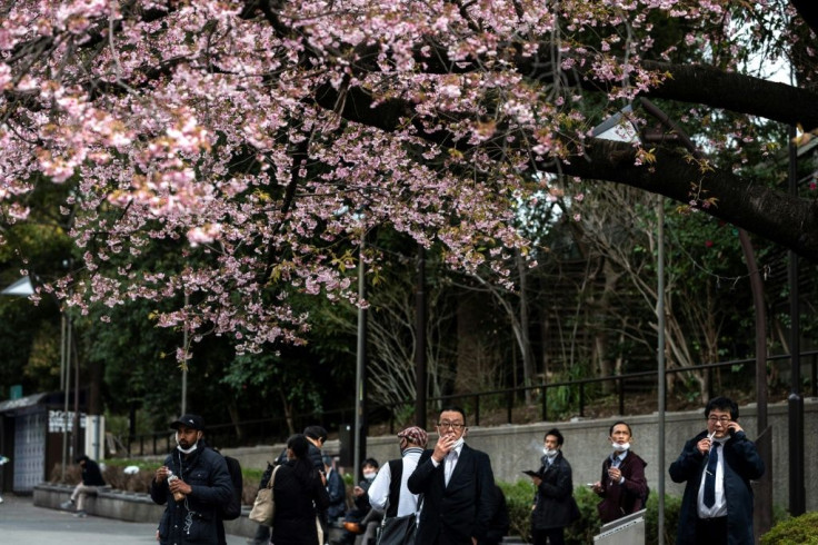 Japan's government earns billions of dollars annually in cigarette tax revenue