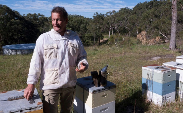 An explosion in demand attributed to the pandemic pushed honey exports to a new recordÂ in 2019-20, of which manuka honey made up 76 percent