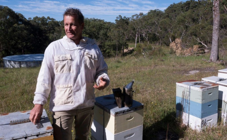 An explosion in demand attributed to the pandemic pushed honey exports to a new record in 2019-20, of which manuka honey made up 76 percent