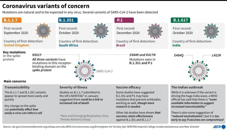 Factfile on SARS-CoV-2 variants of concern or interest, including B.1.617 circulating widely in India.