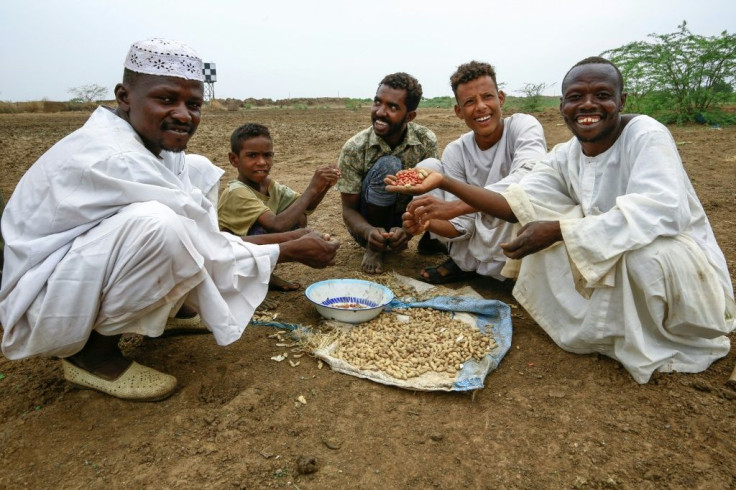 Sudan is hoping the Paris conference will attract a flood of badly-needed foreign investment into such sectors as agriculture, energy and telecommunications after it was removed from the US blacklist of state sponsors of terrorism
