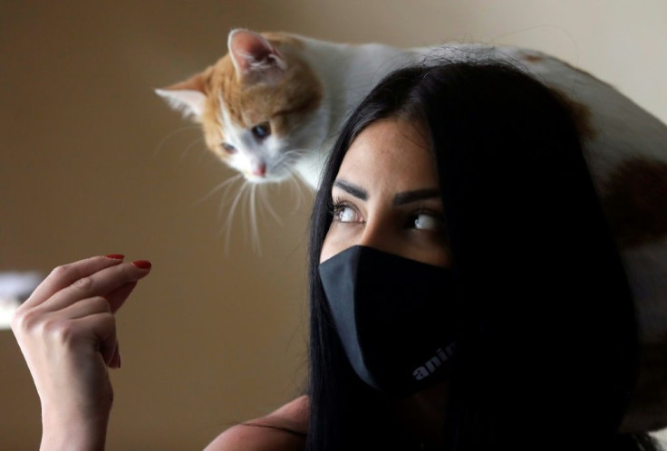 The price of imported pet food, meat and veterinary care has soared in Lebanon