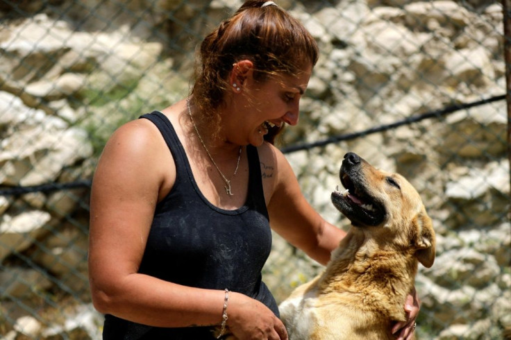 Volunteer Ghada al-Khateeb plays with a rescued dog at Woof N' Wags shelter on the outskirts of the village of Kfar Chellal south of Beirut