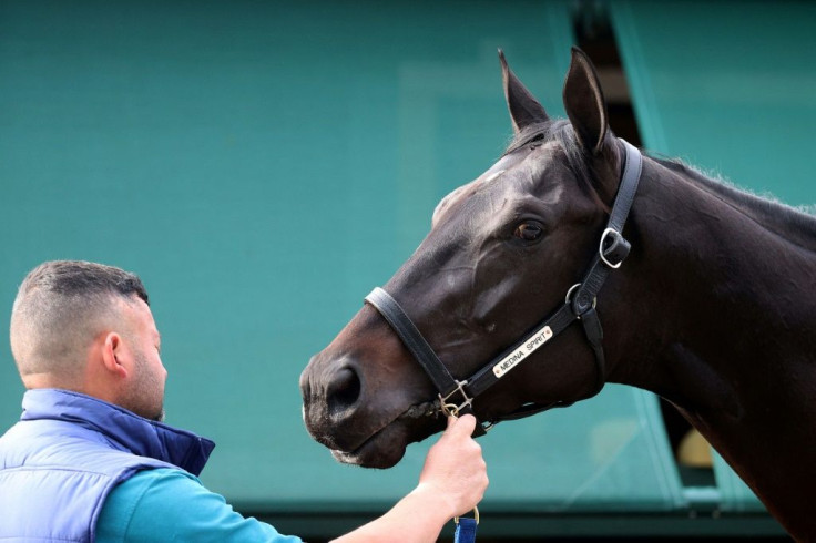 Kentucky Derby winner Medina Spirit was cleared to enter Saturday's Preakness after passing three doping tests before being eligible to race in the second jewel of US horse racing's Triple Crown