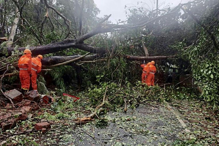 National Disaster Response Force staff clear fallen trees from a road following severe cyclonic storm 'Tauktae' at Margao in Goa