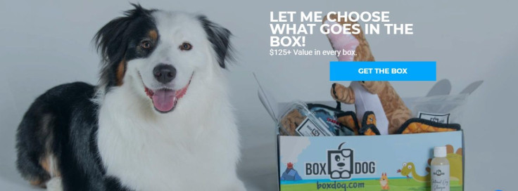 BoxDog customizable subscription box for dogs
