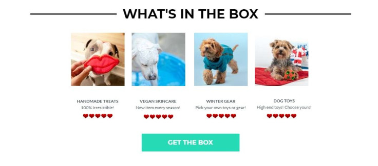 BoxDog offerings in each box