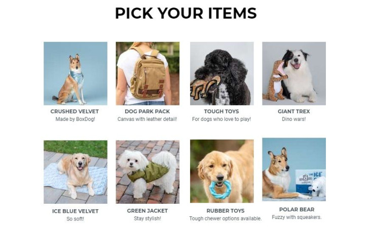 BoxDog lets you choose your dog's gifts