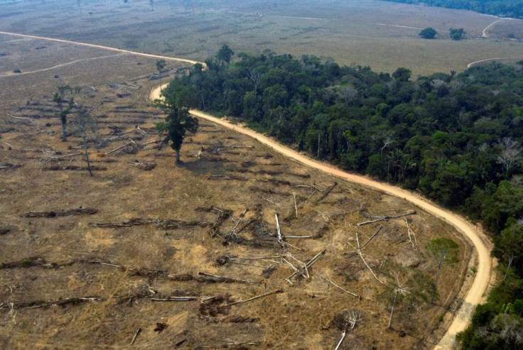 (FILES) Aerial file photo taken on August 24, 2019 of burnt areas of the Amazon rainforest, near Porto Velho, Rondonia state, Brazil. Almost all the deforestation in the Brazilian Amazon is illegal, a report found.