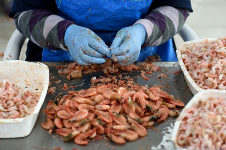 Fish City is a seafood processing plant employing some 1,500 people, most of them women who shell shrimp and fillet anchovies at incredible speed