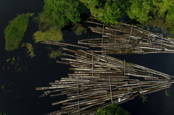 Logs seized by the Amazon Military Police in July 2020 at the Manacapuru River in Manacupuru, Amazonas State, Brazil