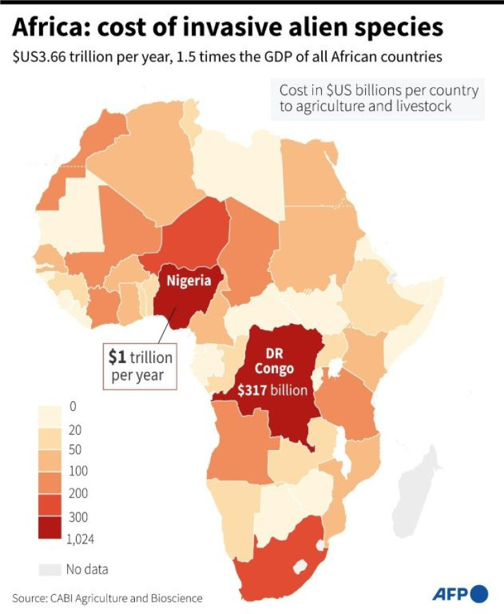 Map of Africa showing the cost of invasive alien species per country, according to a new study.