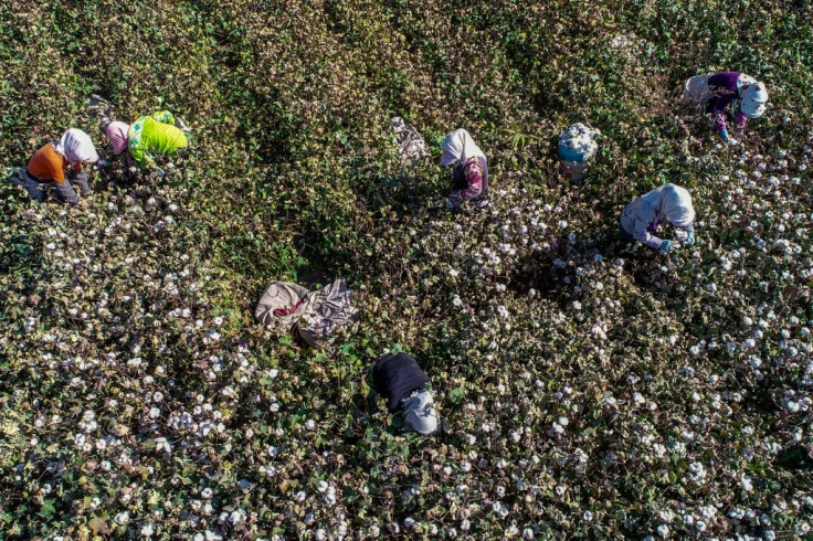 Recent uproar over reports that cotton from China's Xinjiang region was picked by forced labour was compounded by the difficulty of knowing where this cotton ended up.
