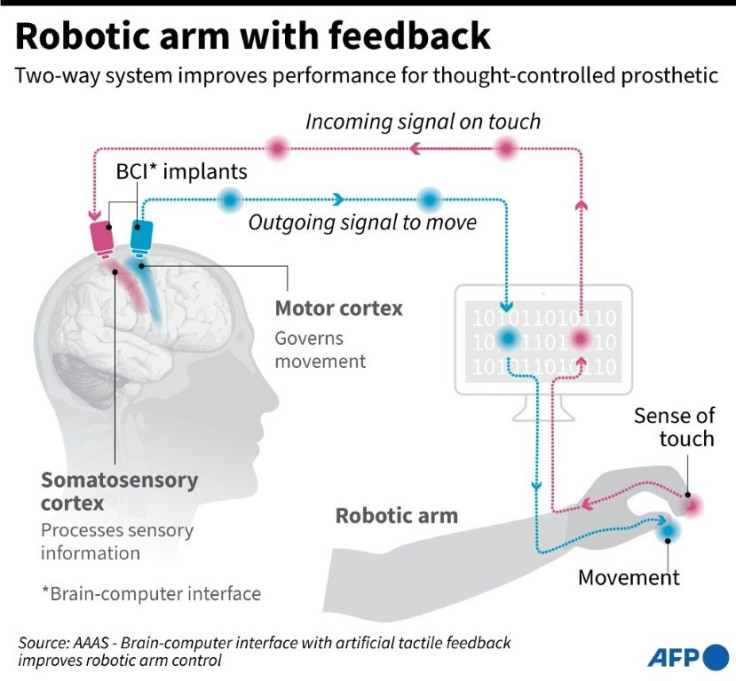 Graphic on a thought-conrolled prosthetic arm that can be used by a paralysed person, and is able to provide feedback from touch