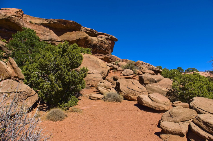 sandstone-along-grand-view-trail-3984317_1920