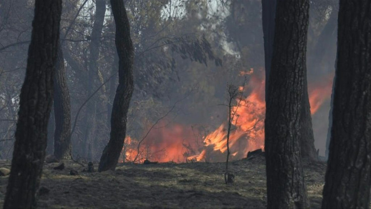 Several Greek villages have been evacuated as firefighters battle the country's first major blaze of the year on a mountain range overlooking the Gulf of Corinth. Six villages and two monasteries were evacuated after the fire broke out near the village of