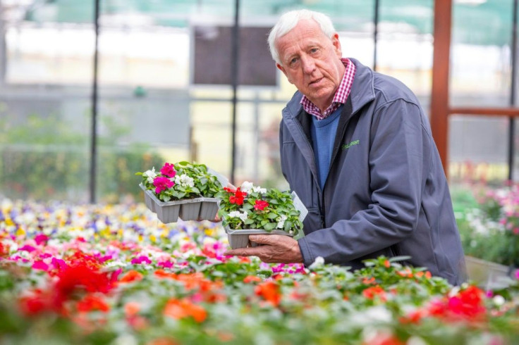 Seeds used to take four days to reach Robin Mercer's Belfast garden centre from England. Post-Brexit it is taking four weeks