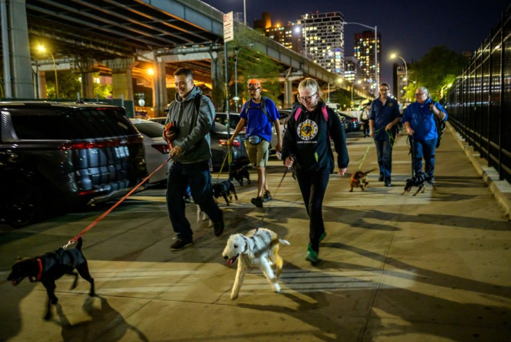 Members of The Ryders Alley Trencher-fed Society (R.A.T.S.) searching for vermin on the New York City's Lower East Side on May 14, 2021