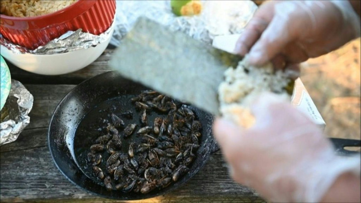 A leader in the sustainable food movement, Washington chef Bun Lai cooks cicadas to open up conversations about food alternatives that cause less environmental destruction than traditional farming