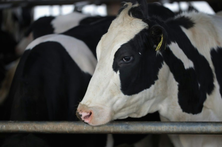 Washington says Canada's policy on dairy products is harming the ability of US producers to sell to retailers north of the border