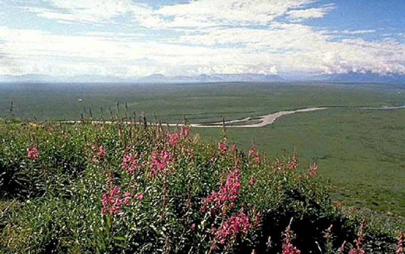 President Joe Biden suspended oil development activities on the  the Arctic National Wildlife Refuge in Alaska, shown here in August 2001