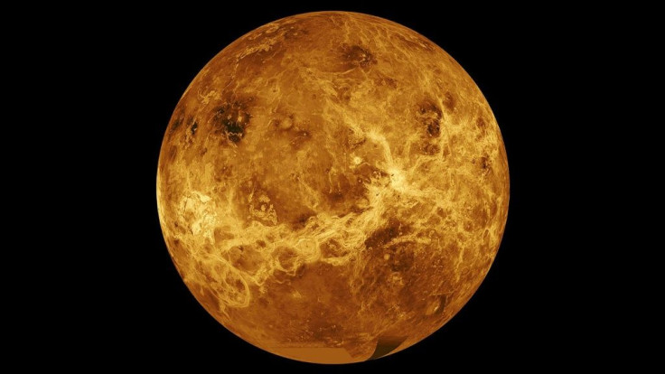 This photo released by NASA shows the planet Venus in a composite of data from NASA's Magellan spacecraft and Pioneer Venus Orbiter
