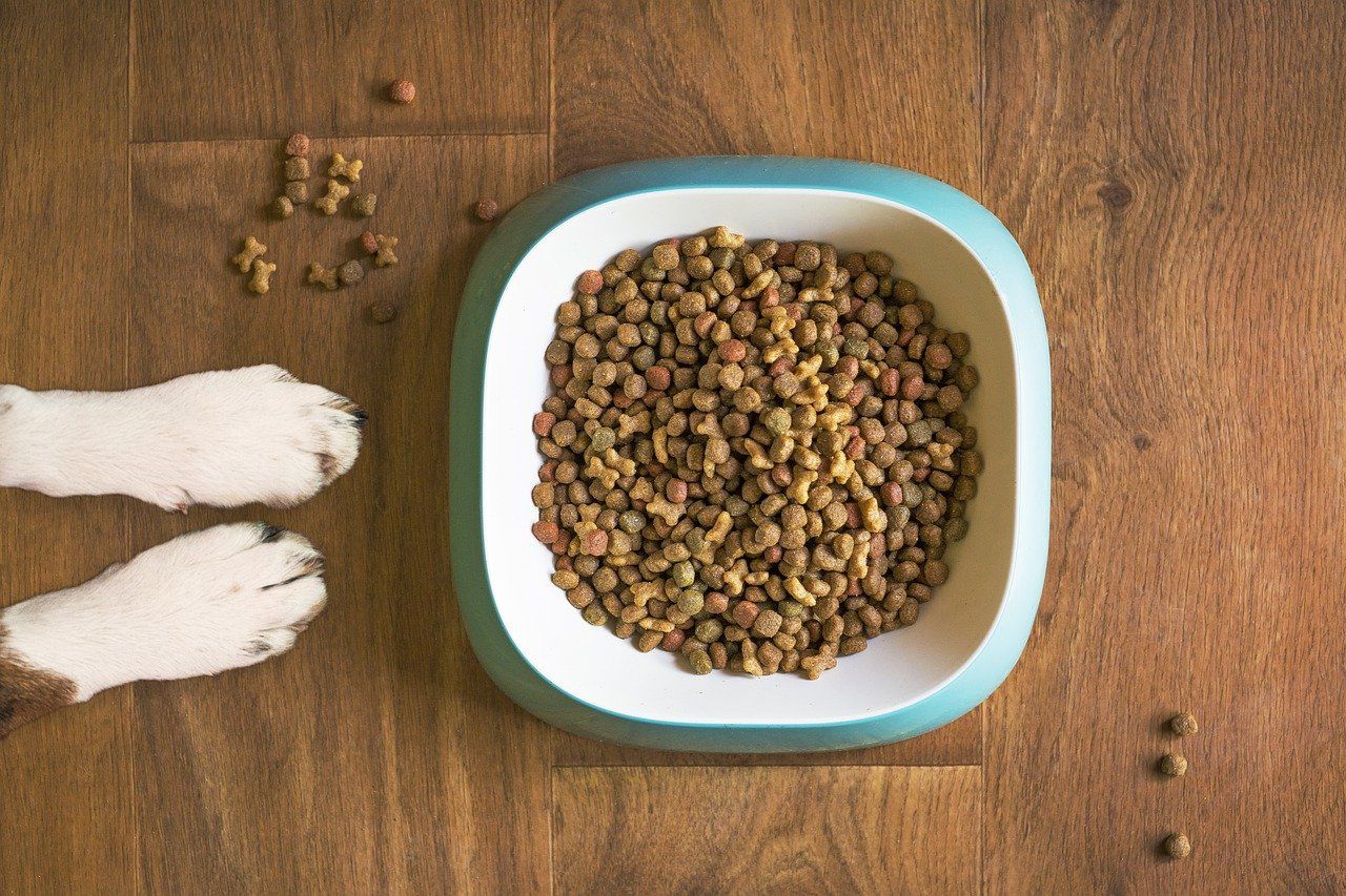 Dog Food Recall Purina Expands Issuance Over Vitamin D Toxicity