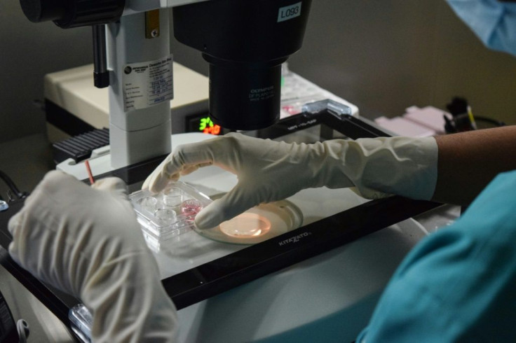 Freezing eggs can give women a chance to have children later