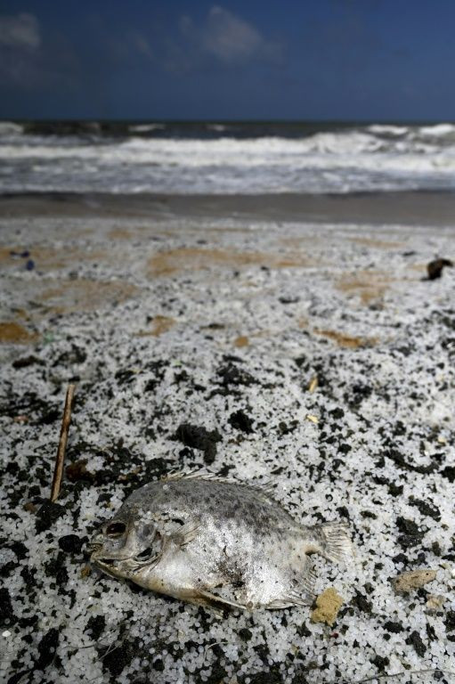 The escape of microplastic granules from the ship's cargo has already forced a fishing ban and prompted concern for the marine environment