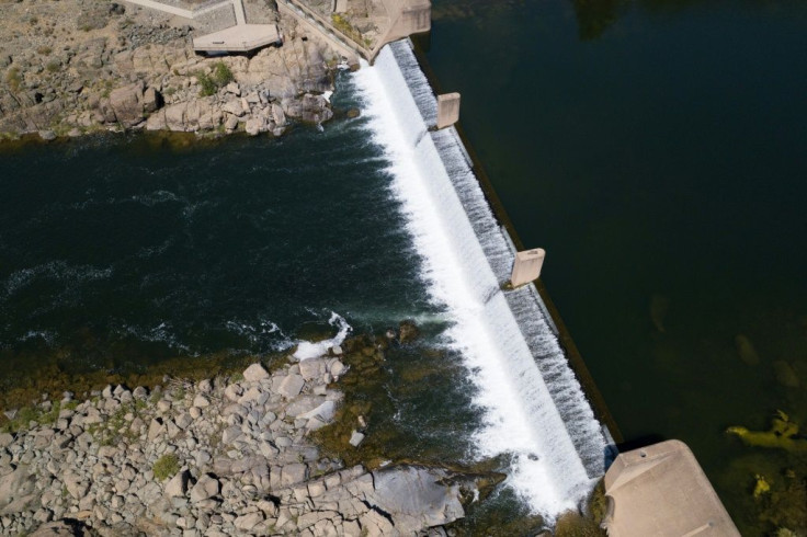 The Feather River Hatchery, just below a dam north of Sacramento, produces around eight million salmon fry annually from fish that naturally return to the rivers in which they were born