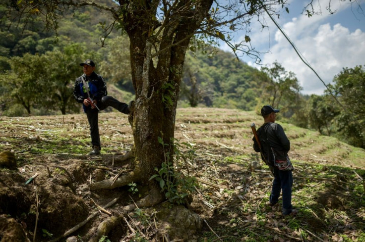 Guerrero, located on Mexico's southern Pacific coast, is one of the country's most violent states because of gang turf wars