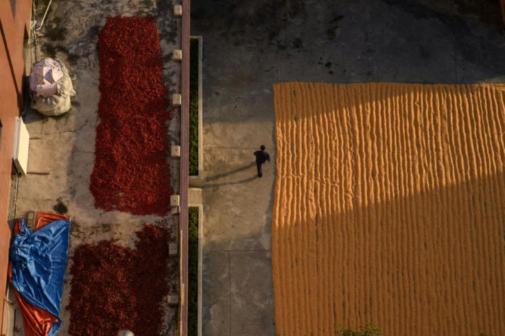 The World Food Proramme, which has the largest international aid presence in North Korea, has said it could cease operaitons in the country due to the absence of food imports