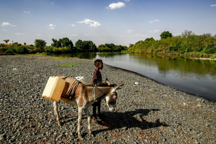 "A humanitarian nightmare" is spreading in Ethiopia's Tigray region, the US ambassador to the United Nations Linda Thomas-Greenfield says