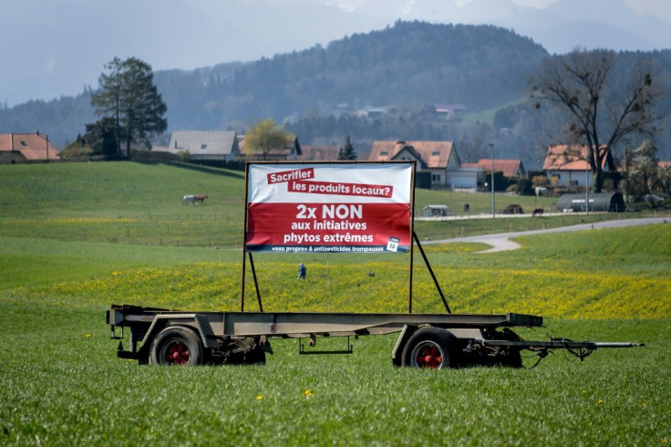 Under Switzerland's direct democracy system, referendums and popular votes occur every few months at national, regional and local levels