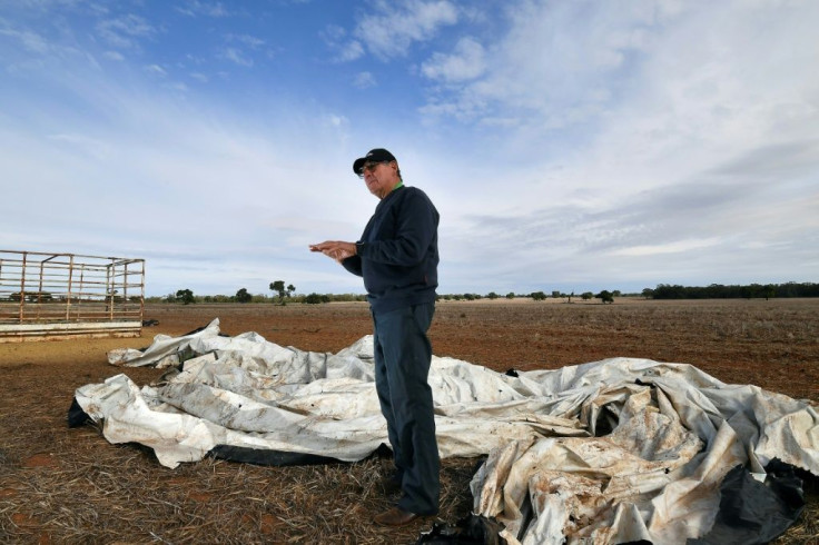 As the mouse plague intensifies, Australia is considering the use of a potent poison to cull mice, but experts worry it could impact other native wildlife