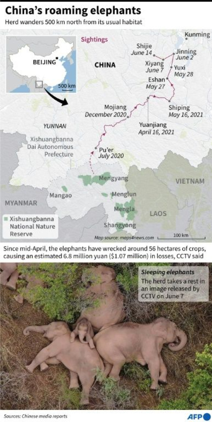Map of China's Yunnan province, showing the route a herd of wild elephants has taken since leaving the Xishuangbanna National Nature Reserve in the spring of 2020.