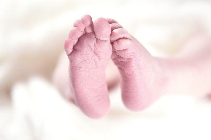 baby-256857_640 (4) Infant
