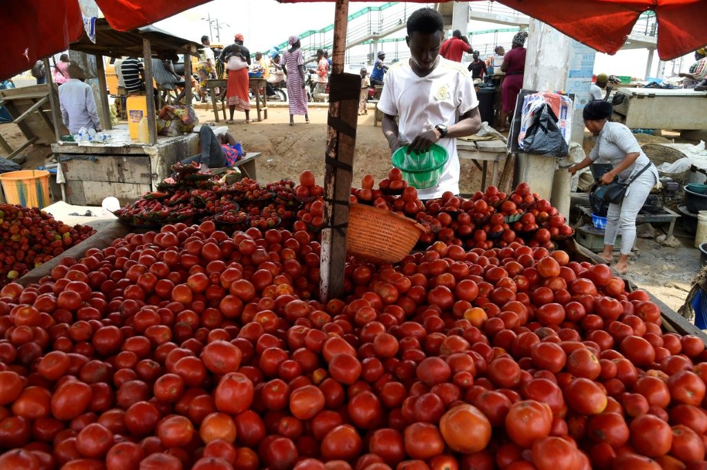 High Nigeria Food Costs Push 7 Million Into Poverty World Bank IBTimes