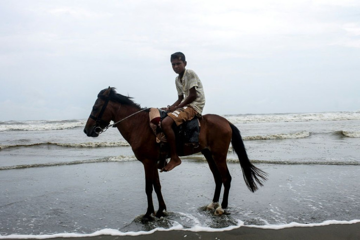 Twenty-one horses that used to carry tourists along Cox's Bazar beach in southeastern Bangladesh died in one month, their owners said
